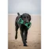 Purdue Boilmakers NCAA Field Dog Toy image thumbnail 2