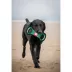 Nebraska Cornhuskers NCAA Field Dog Toy image thumbnail 2