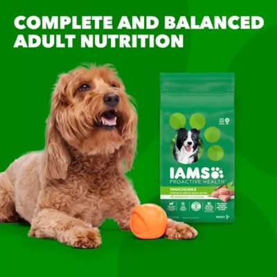 Iams small breed food best sale