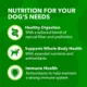 Product Iams Proactive Health Minichunks Adult Dry Dog Food with Real Chicken & Whole Grains