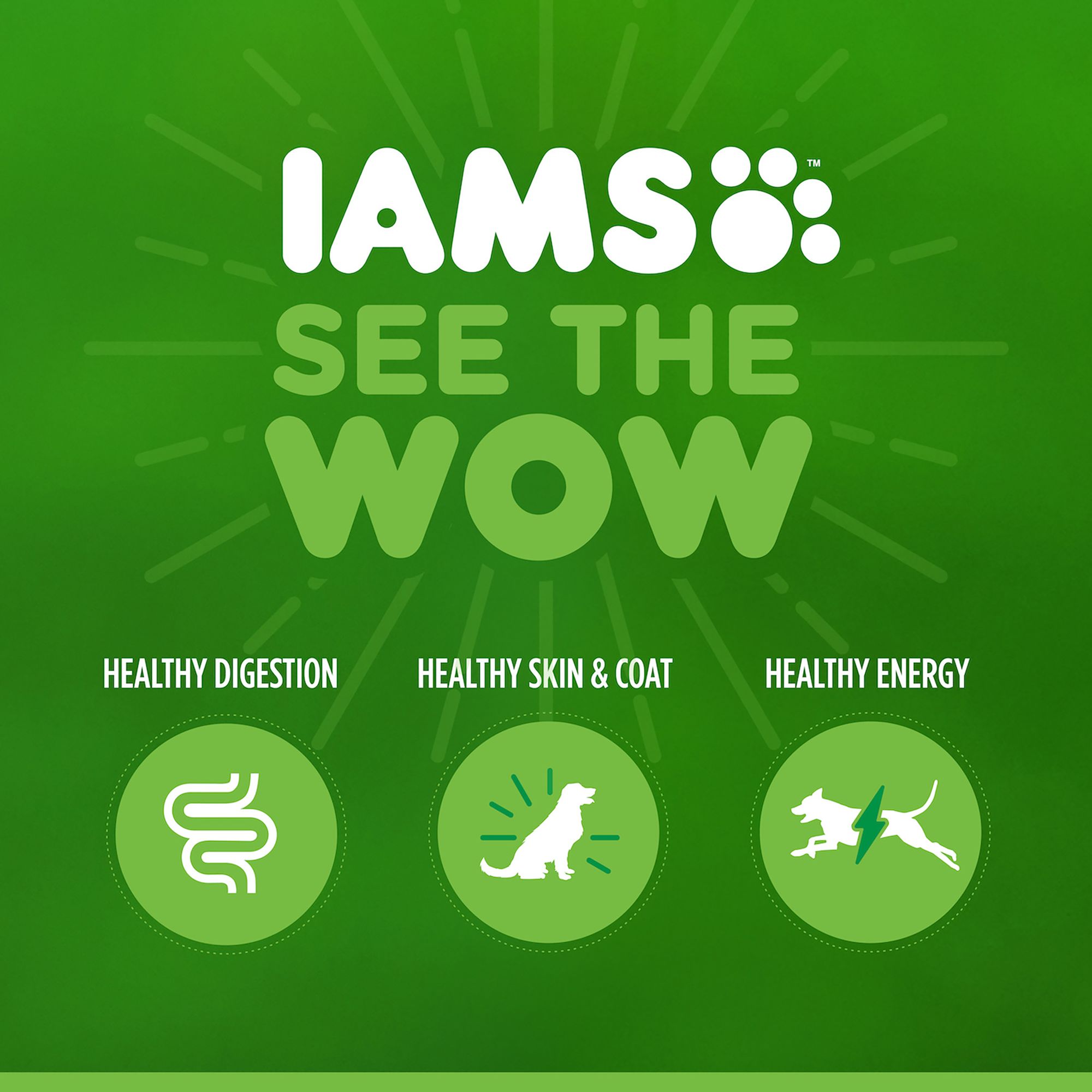 Iams Proactive Health Minichunks Adult Dry Dog Food with Real Chicken Whole Grains PetSmart in Tustin CA The Market Place