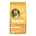 IAMS™ Proactive Health Puppy Dry Dog Food - Healthy Development, Chicken & Whole Grains image thumbnail 1