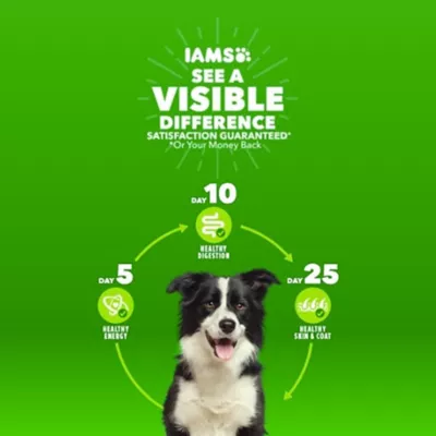 Product IAMS™ Proactive Health Puppy Dry Dog Food - Healthy Development, Chicken & Whole Grains