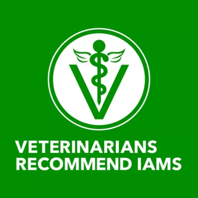 Product IAMS™ Proactive Health Puppy Dry Dog Food - Healthy Development, Chicken & Whole Grains