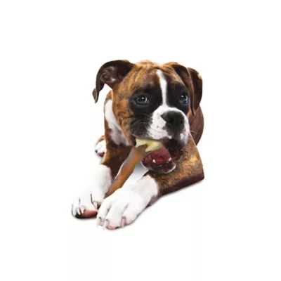 Product Nylabone® Alternative Femur Chew Dog Toy - Beef Flavor