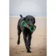 Product University of Alabama Crimson Tide NCAA Field Dog Toy