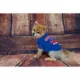 Product Buffalo Bills NFL Team Tee