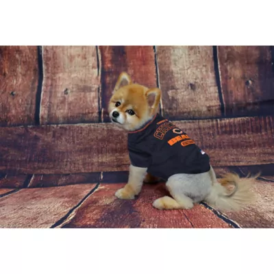 Product Chicago Bears NFL Team Tee