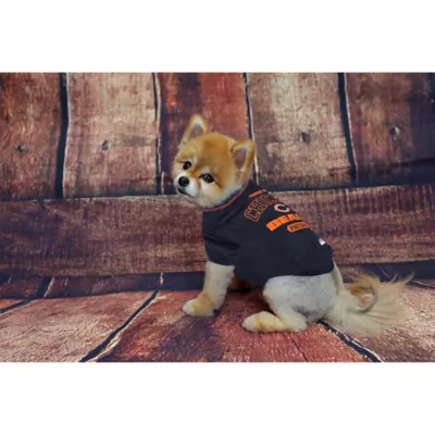 Product Chicago Bears NFL Team Tee