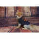 Product Chicago Bears NFL Team Tee