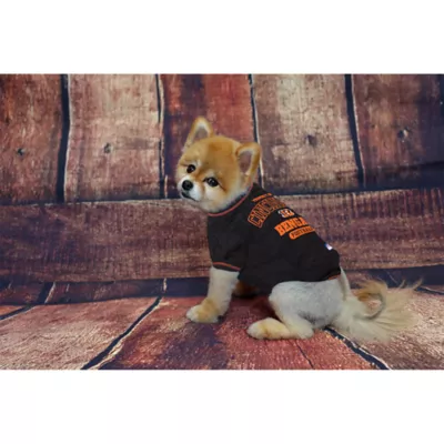 Cincinnati Bengals NFL Team Tee - Image 2