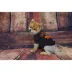 Cincinnati Bengals NFL Team Tee image thumbnail 2