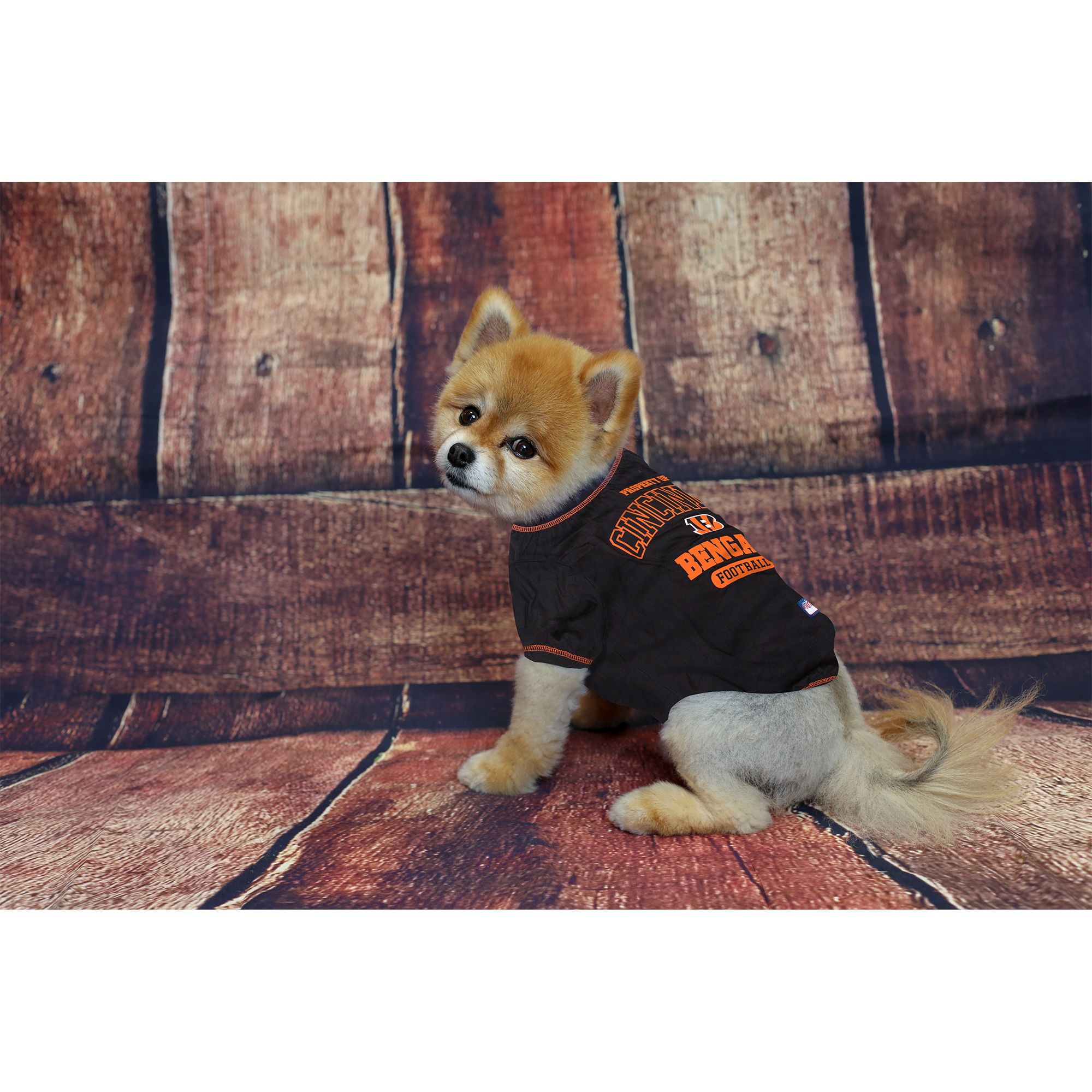 Cincinnati Bengals Dachshund Dogs T-Shirt - TeeNavi