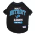 Detroit Lions NFL Team Tee image thumbnail 1