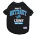Detroit Lions NFL Team Tee image thumbnail 1