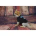 Detroit Lions NFL Team Tee image thumbnail 2