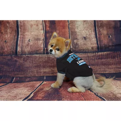 Product Detroit Lions NFL Team Tee