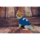 Product Indianapolis Colts NFL Team Tee
