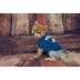 Indianapolis Colts NFL Team Tee image thumbnail 2