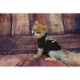 Product Jacksonville Jaguars NFL Team Tee
