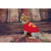 Kansas City Chiefs NFL Team Tee image thumbnail 2