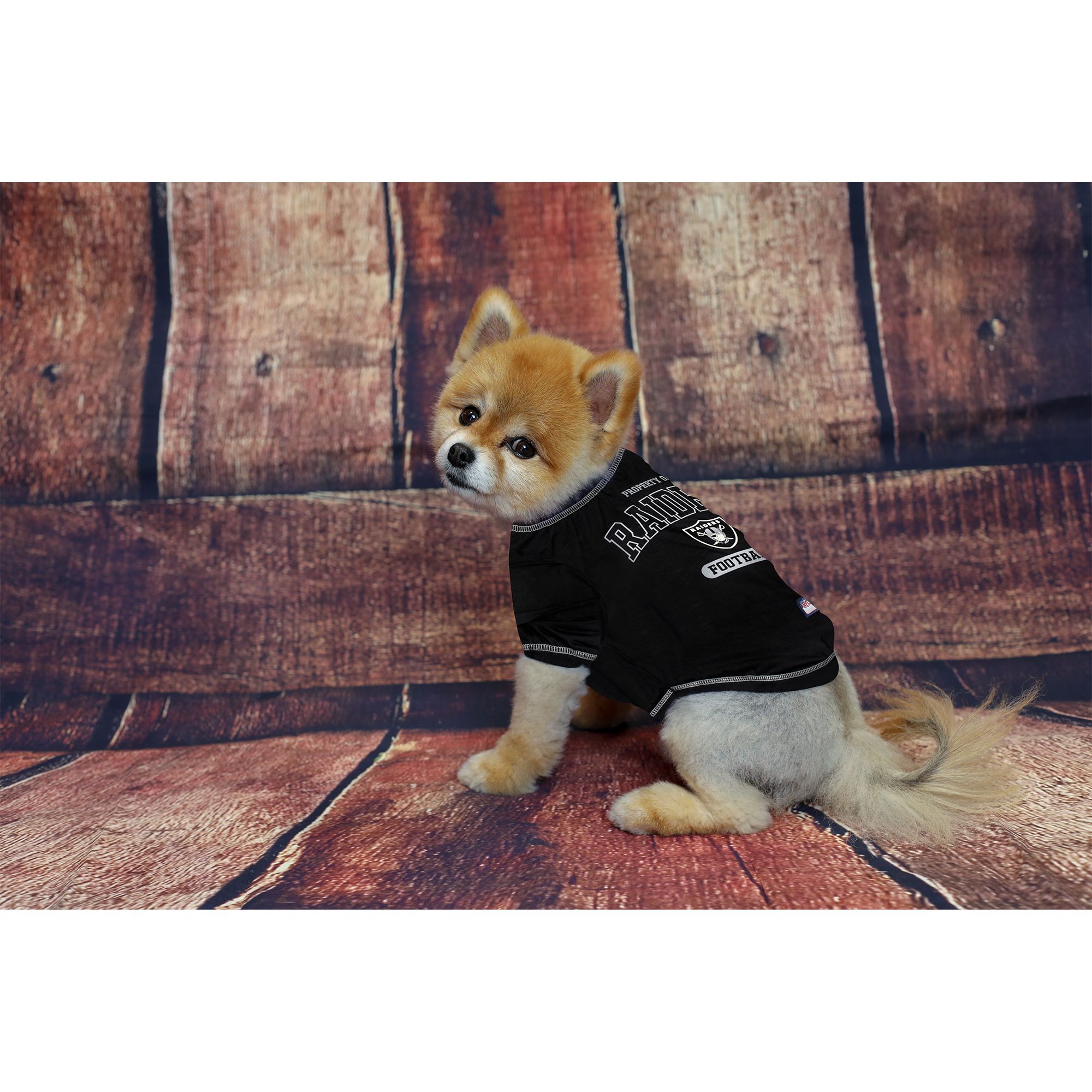 Raiders dog shirt best sale