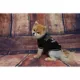 Product Pets First Las Vegas Raiders NFL Team Tee