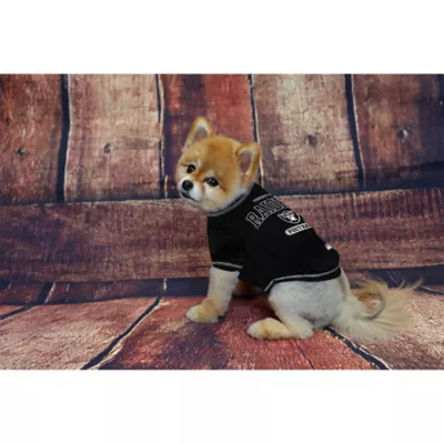 Pets First Las Vegas Raiders NFL Team Tee - Image 2