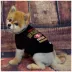San Francisco 49ers NFL Team Tee image thumbnail 2