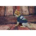 Seattle Seahawks NFL Team Tee image thumbnail 2