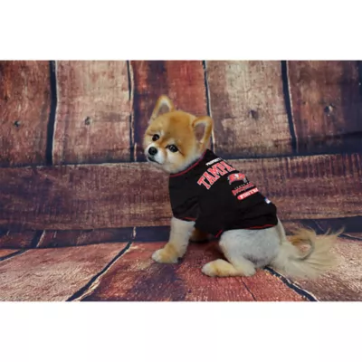 Tampa Bay Buccaneers NFL Team Tee - Image 2