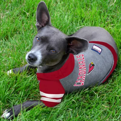 Product Arizona Cardinals NFL Hoodie Tee