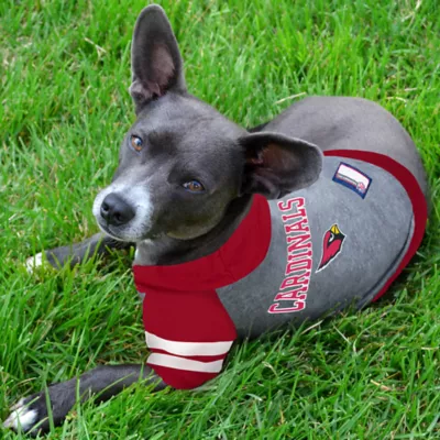 Product Arizona Cardinals NFL Hoodie Tee