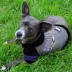 Baltimore Ravens NFL Hoodie Tee image thumbnail 2