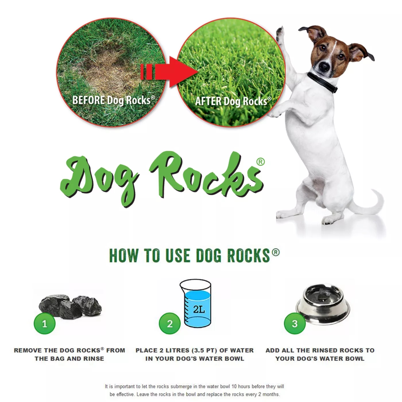 Dog rocks 200g hotsell