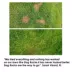 Dog Rocks® Lawn Burn Patch Preventative image thumbnail 5