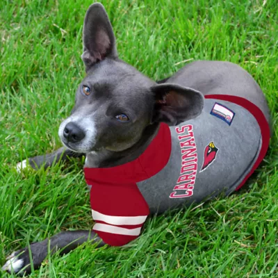 Product Arizona Cardinals NFL Hoodie Tee
