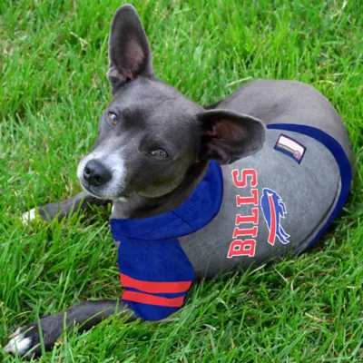 Product Buffalo Bills NFL Hoodie Tee