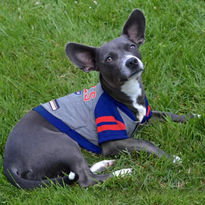 Product Buffalo Bills NFL Hoodie Tee
