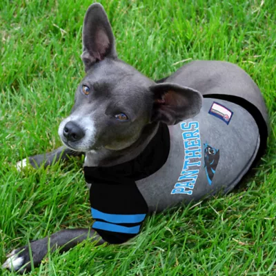 Product Carolina Panthers NFL Hoodie Tee