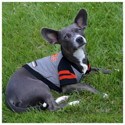 Chicago Bears NFL Hoodie Tee - Image 3