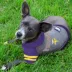 Minnesota Vikings NFL Hoodie Tee image thumbnail 2