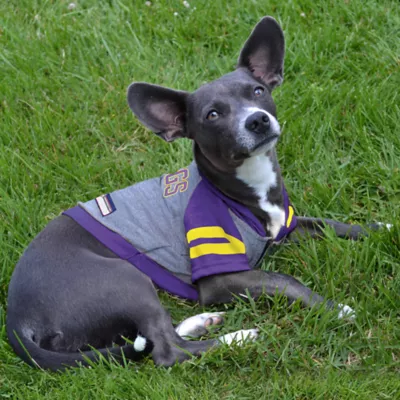 Minnesota Vikings NFL Hoodie Tee - Image 3