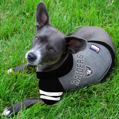 Pets First Las Vegas Raiders NFL Hoodie Tee - Image 2
