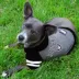 Pets First Las Vegas Raiders NFL Hoodie Tee image thumbnail 2