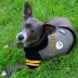 Pittsburgh Steelers NFL Hoodie Tee image thumbnail 2