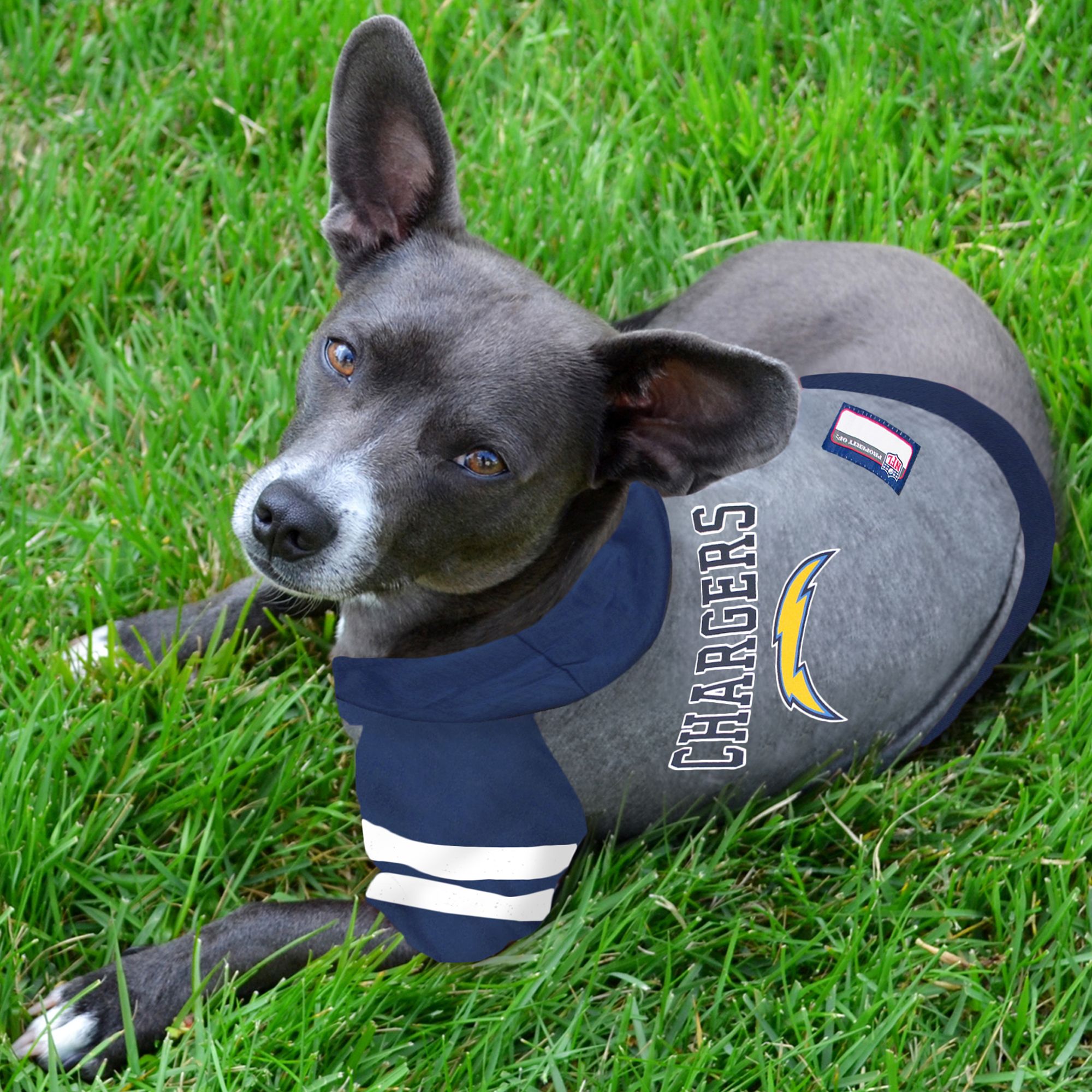 San Diego Chargers Dog Pet Mesh Alternate Football Jersey - Spawty