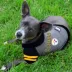 Pittsburgh Steelers NFL Hoodie Tee image thumbnail 2