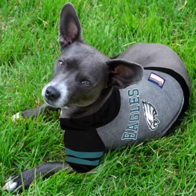 Philadelphia Eagles NFL Hoodie Tee - Image 2