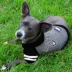 Pets First Las Vegas Raiders NFL Hoodie Tee image thumbnail 2